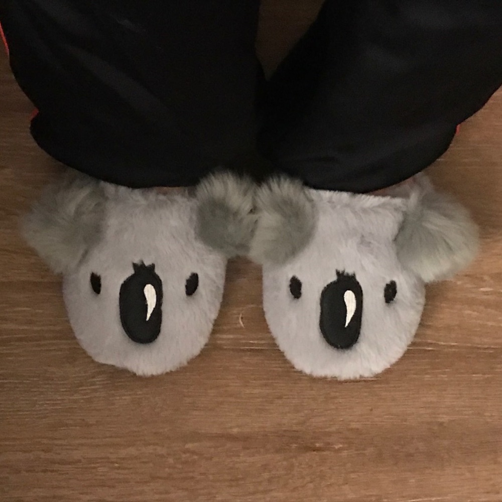 Gilly Hicks Koala Slippers (Size 5, 5.5, 6 Shoe)